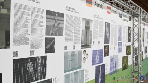 aere trampoline cup tra tum dmt ph by tomasi simone ferraro   fgi 